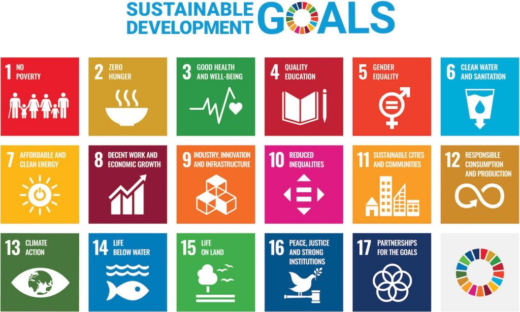sdg poster acefsr a3 cmyk